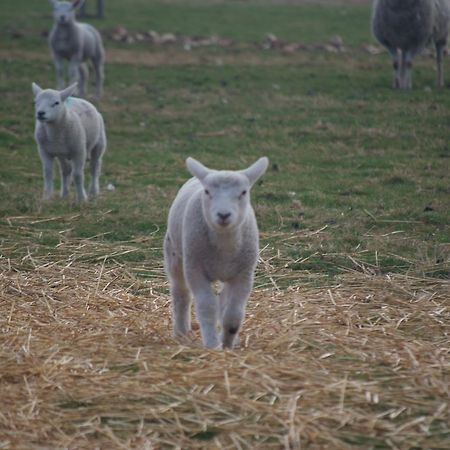 Woodhouse Farm Lodge Spalding Bagian luar foto